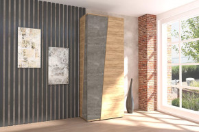 Аллегро-10 Шкаф двухдверный Диал в Пыть-Яхе - pyt-yah.mebel-tymen.ru | фото