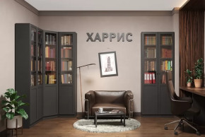 Библиотека Харрис в Пыть-Яхе - pyt-yah.mebel-tymen.ru | фото