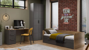 Детская «Стелла» Серый вулкан, Фон Серый, Яблоня Беллуно в Пыть-Яхе - pyt-yah.mebel-tymen.ru | фото