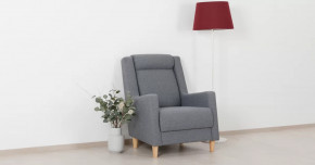 Дилан Кресло для отдыха арт. ТК 423 в Пыть-Яхе - pyt-yah.mebel-tymen.ru | фото