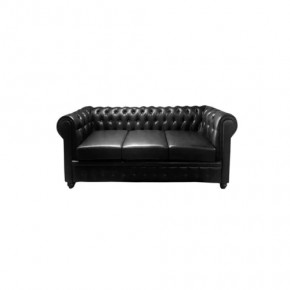 Диван прямой "CHESTER 3D" (ЧЕСТЕР 3D) в Пыть-Яхе - pyt-yah.mebel-tymen.ru | фото