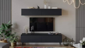 Гостиная «Глосс» №2 Яблоня Беллуно/Cтекло Графит матовый/Серый в Пыть-Яхе - pyt-yah.mebel-tymen.ru | фото