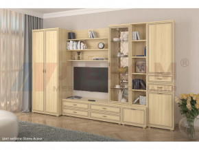 Гостиная Карина набор 11 в Пыть-Яхе - pyt-yah.mebel-tymen.ru | фото