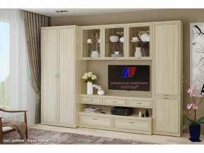 Гостиная Карина набор 23 в Пыть-Яхе - pyt-yah.mebel-tymen.ru | фото