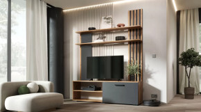 Гостиная Каролина Дуб Вотан/Графит в Пыть-Яхе - pyt-yah.mebel-tymen.ru | фото