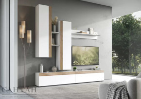 Гостиная НАО-Моно №1 в Пыть-Яхе - pyt-yah.mebel-tymen.ru | фото