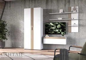 Гостиная НАО-Моно №10 в Пыть-Яхе - pyt-yah.mebel-tymen.ru | фото