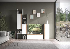 Гостиная НАО-Моно №3 в Пыть-Яхе - pyt-yah.mebel-tymen.ru | фото