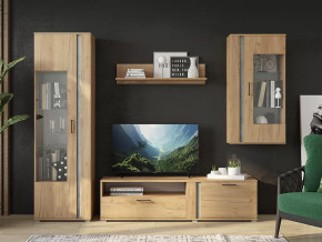 Гостиная Омега в Пыть-Яхе - pyt-yah.mebel-tymen.ru | фото