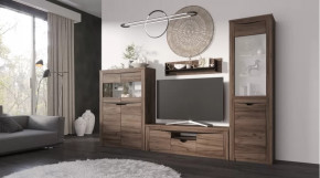 Гостиная Серия Регина дуб самдал в Пыть-Яхе - pyt-yah.mebel-tymen.ru | фото