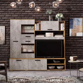 Гостиная Трамп ЦС-05 в Пыть-Яхе - pyt-yah.mebel-tymen.ru | фото