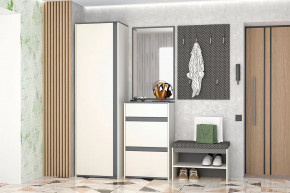 Иннэс-12  Прихожая №1 Диал в Пыть-Яхе - pyt-yah.mebel-tymen.ru | фото