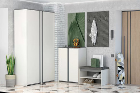 Иннэс-12 Прихожая №2 Диал в Пыть-Яхе - pyt-yah.mebel-tymen.ru | фото