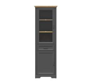 JASMIN шкаф REG1W1D1S (Графит/ Дуб артизан) в Пыть-Яхе - pyt-yah.mebel-tymen.ru | фото