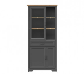 JASMIN шкаф REG1W2D1S (Графит/ Дуб артизан) в Пыть-Яхе - pyt-yah.mebel-tymen.ru | фото