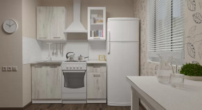 Кухонный гарнитур Алина мини 1000 мм в Пыть-Яхе - pyt-yah.mebel-tymen.ru | фото