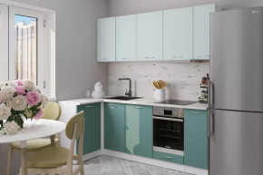 Кухонный гарнитур Асая прайм 400 1100х2000 мм в Пыть-Яхе - pyt-yah.mebel-tymen.ru | фото