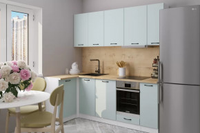 Кухонный гарнитур Лиора прайм 400 1100х2000 мм в Пыть-Яхе - pyt-yah.mebel-tymen.ru | фото