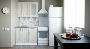 Кухонный гарнитур Лира мини 1000 мм в Пыть-Яхе - pyt-yah.mebel-tymen.ru | фото