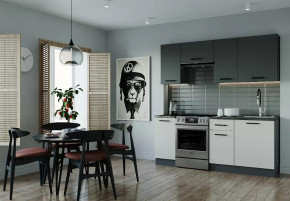 Кухонный гарнитур Лофт-2000 столешница 26 мм в Пыть-Яхе - pyt-yah.mebel-tymen.ru | фото