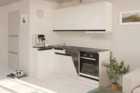 Кухонный гарнитур Лотос прайм 1100х2000 мм в Пыть-Яхе - pyt-yah.mebel-tymen.ru | фото