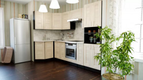 Кухонный гарнитур Ника гранд прайм 2600х1400 мм в Пыть-Яхе - pyt-yah.mebel-tymen.ru | фото