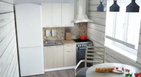 Кухонный гарнитур Ольга мини 2 1000 мм в Пыть-Яхе - pyt-yah.mebel-tymen.ru | фото