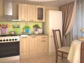 Кухонный прямой гарнитур 2, 1000 мм, Грецкий орех в Пыть-Яхе - pyt-yah.mebel-tymen.ru | фото