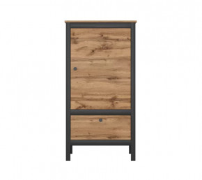 LOFT шкаф REG1D1S/60 (Дуб вотан/Черный) в Пыть-Яхе - pyt-yah.mebel-tymen.ru | фото