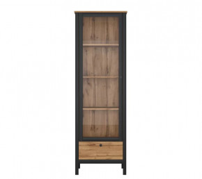 LOFT шкаф REG1W1S (Дуб вотан/Черный) в Пыть-Яхе - pyt-yah.mebel-tymen.ru | фото