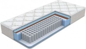 Матрас Баланс evs в Пыть-Яхе - pyt-yah.mebel-tymen.ru | фото