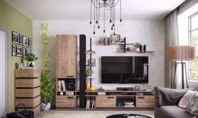 Модульная гостиная Nature в Пыть-Яхе - pyt-yah.mebel-tymen.ru | фото