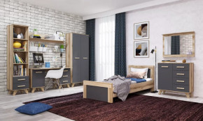 Молодёжная №ДКС-1 "Вега Скандинавия" Дуб каньон/Силк флай в Пыть-Яхе - pyt-yah.mebel-tymen.ru | фото