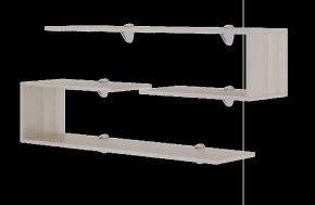 Остин подростковая М18 Полки навесные (2 шт) в Пыть-Яхе - pyt-yah.mebel-tymen.ru | фото