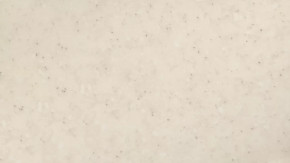 Панель пристенная 6х600х720 в Пыть-Яхе - pyt-yah.mebel-tymen.ru | фото