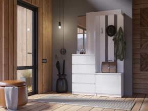 Прихожая Челси белый в Пыть-Яхе - pyt-yah.mebel-tymen.ru | фото