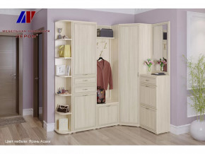 Прихожая Карина набор 5 в Пыть-Яхе - pyt-yah.mebel-tymen.ru | фото