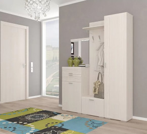 Прихожая Лотос Композиция №21 в Пыть-Яхе - pyt-yah.mebel-tymen.ru | фото