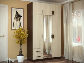 Шкаф 3-х створчатый с перегородкой венге/лоредо БТС в Пыть-Яхе - pyt-yah.mebel-tymen.ru | фото