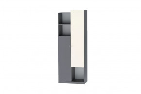 Шкаф Клео Шк-2, 800 мм, графит, миндаль Диал в Пыть-Яхе - pyt-yah.mebel-tymen.ru | фото