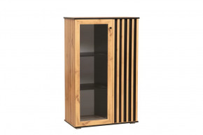 Шкаф комбинированный 51.03 Либерти (опора h=20мм) в Пыть-Яхе - pyt-yah.mebel-tymen.ru | фото