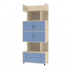 Шкаф комбинированный Дельта-5.03 в Пыть-Яхе - pyt-yah.mebel-tymen.ru | фото