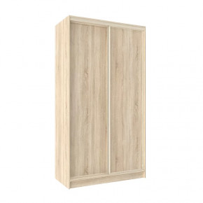 Шкаф-купе 1200 Домашний лдсп/лдсп в Пыть-Яхе - pyt-yah.mebel-tymen.ru | фото