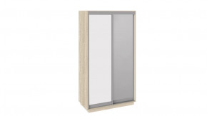 Шкаф-купе 2-х дверный «Румер» в Пыть-Яхе - pyt-yah.mebel-tymen.ru | фото