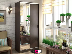 Шкаф-купе Альянс 1000 в Пыть-Яхе - pyt-yah.mebel-tymen.ru | фото