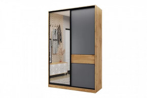 Шкаф-купе SLIM двухдверный BS15-6.ZD в Пыть-Яхе - pyt-yah.mebel-tymen.ru | фото