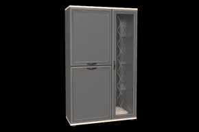 Шкаф многоцелевой ШК-1082 Карина в Пыть-Яхе - pyt-yah.mebel-tymen.ru | фото