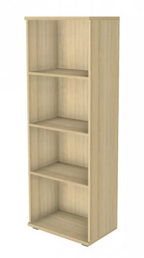 Шкаф многоцелевой ШК-1088 Карина в Пыть-Яхе - pyt-yah.mebel-tymen.ru | фото