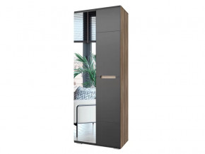 Шкаф Наоми ШК-22 графит нубук в Пыть-Яхе - pyt-yah.mebel-tymen.ru | фото