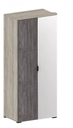 Шкаф Шаде ШК-2903 в Пыть-Яхе - pyt-yah.mebel-tymen.ru | фото